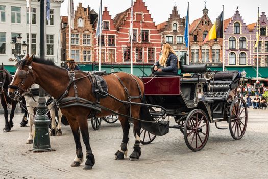 Bruges, Flanders, Belgium -  June 15, 2019: Closeup of Brown horse and black carriage with NW side of Market square as backdrop.