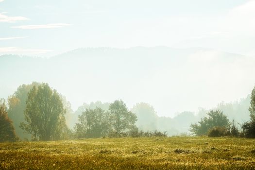 Morning landscape with backlight