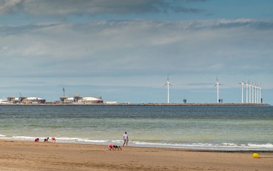 Knokke-Heist, Flanders, Belgium -  June 16, 2019: Knokke-Zoute part of town. View from sandy beach on LNG sea terminal and Wind turbines of Port of Zeebrugge. People on sand. Greenish Nord Sea,