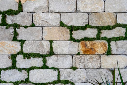 Decorative brick wall. Modern design. The grass grows between the bricks.