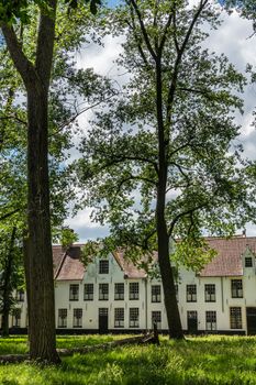 Bruges, Flanders, Belgium -  June 17, 2019: Enclosed central park of Beguinage comes with green lawn and lots of tall dark trunked trees and green foliage partly hiding the sky, White houses in back.