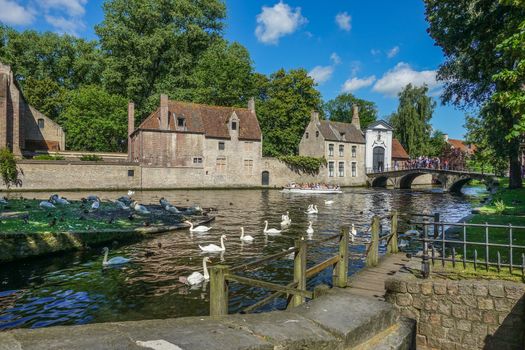 Bruges, Flanders, Belgium -  June 17, 2019: Brown brick stone outer facade and wall of Beguinage. Dark canal with white swans and boat in front. Blue sky and green foliage.