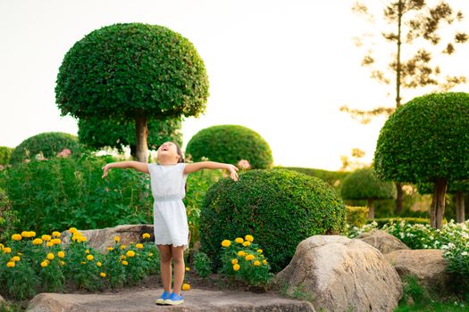 Happy cute little girl standing on the rock and open hands with the sunset in summer.Freedom concept.