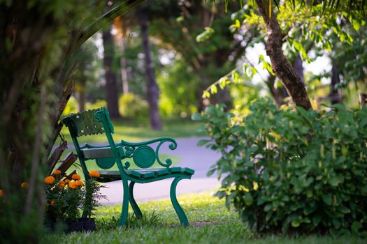 Bench under the tree in public park