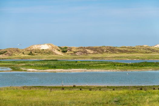 Knokke-Heist, Flanders, Belgium -  June 18, 2019: Zwin Bird Refuge. Landscape with salt water creek in front of the dunes protecting from Nord Sea.. White birds.