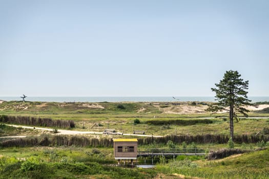 Knokke-Heist, Flanders, Belgium -  June 18, 2019: Zwin Bird Refuge. Landscape with dunes and Nord Sea behind. Lookout hut and Hare statue in the far distance. Green foliage and light blue sky.