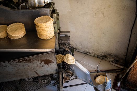 tortillas stacked on a tortilla machine in typical mexican shop