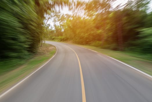 moving road in to the forest - motion blur