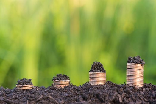 growing stack of dollars money coin with green natural background