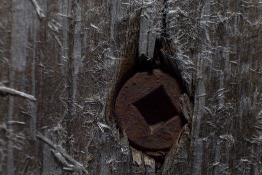 A close-up of a rusty screw with a square recess that has been pushed deep into aged wood causing splinters.