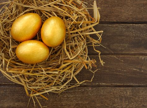 gold eggs in nest on wood background ,business concept