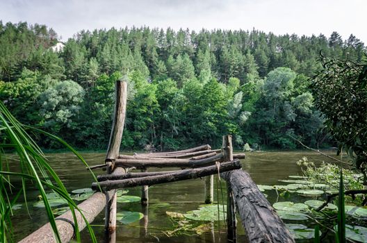 river and green forest on a mountain without people landscape Ukraine