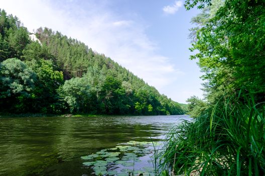 river and green forest on a mountain without people landscape Ukraine