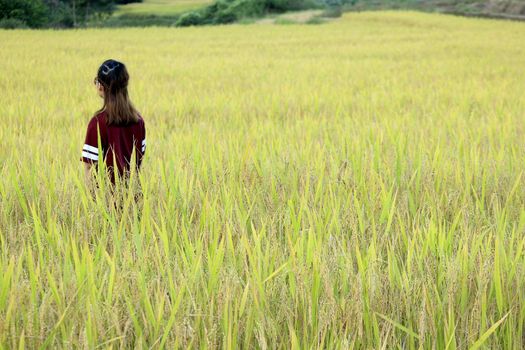 The woman stood back against the view in the middle of the rice field.