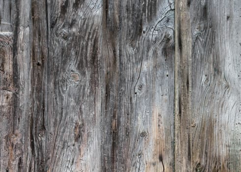 Wood plank texture for your background