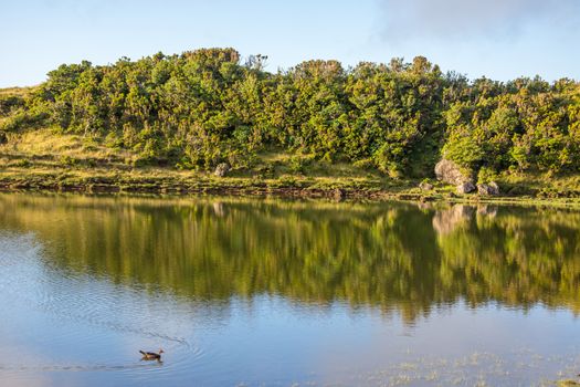 Walk on the Azores archipelago. Discovery of the island of Pico, Azores. Portugal. Madalena