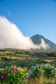 Walk on the Azores archipelago. Discovery of the island of Pico, Azores. Portugal. Madalena