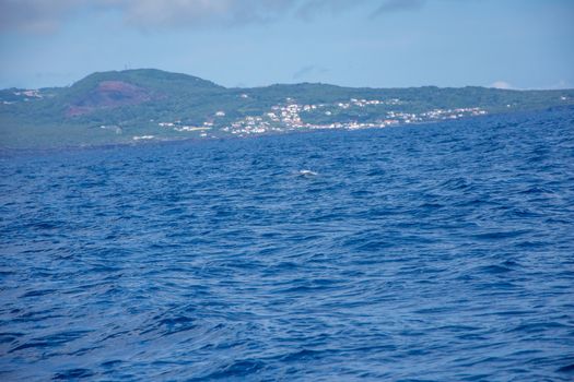 Walk on the Azores archipelago. Discovery of the island of Pico, Azores. Portugal. Madalena