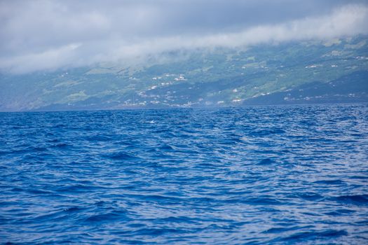 Walk on the Azores archipelago. Discovery of the island of Pico, Azores. Portugal. Madalena
