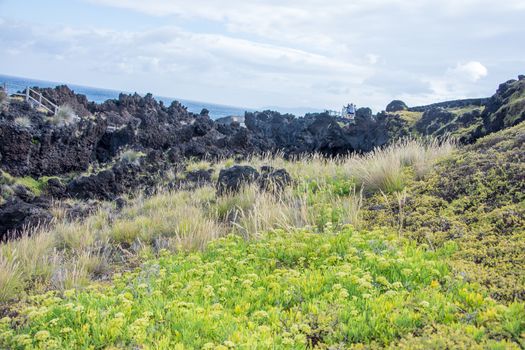 Walk on the Azores archipelago. Discovery of the island of Pico, Azores. Portugal. Madalena