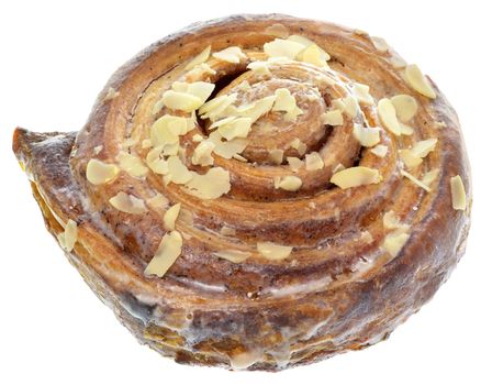 Butter bun snail close-up isolated on a white background.