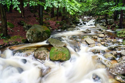 Rocks and boulders in the mountain stream in the forest in the Giant Mountains in Poland