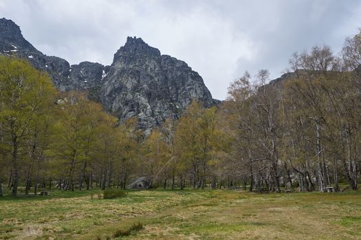 Landscape mountains and trees in Covao d ametade in Serra da Estrela, Portugal