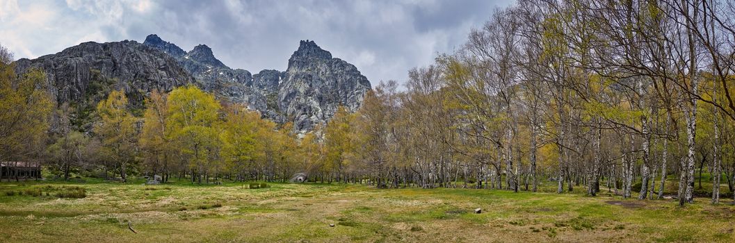 Panorama Landscape mountains and trees in Covao d ametade in Serra da Estrela, Portugal