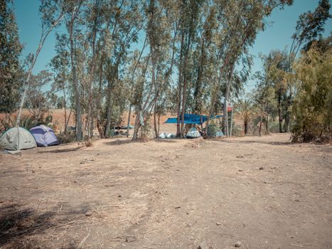 Many dome tents at a camping site near the Eucalyptus trees in Jordan Valley of Israel. Adventure vacation near the Jordan river on a sunny summer day. A sign symbolizing swimming is prohibited.