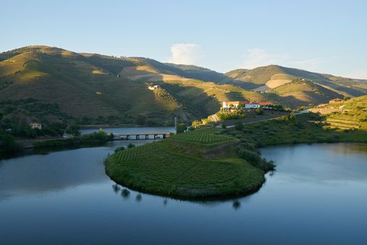 Douro wine valley region s shape bend river in Quinta do Tedo at sunset, in Portugal