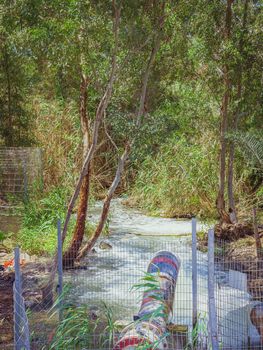 Water flowing from a drainpipe into a small river. In the forest near the Jordan River in Israel. Concept of water abundance or water and nature pollution.