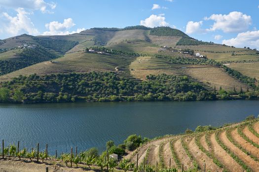 Douro river wine valley region in Portugal