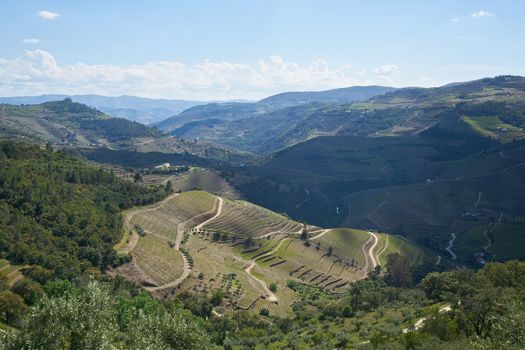 Douro river wine valley region in Portugal