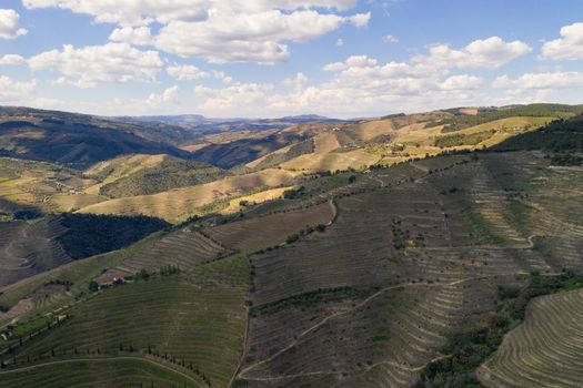 Douro river wine valley region drone aerial view, in Portugal