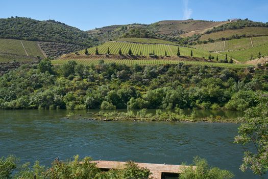 Douro river wine valley region in Portugal