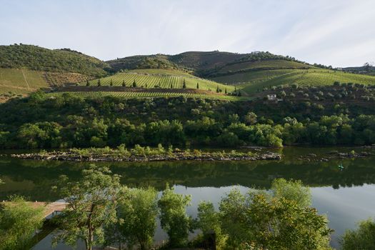 Douro river wine valley region in Portugal