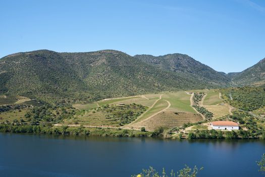 Douro river wine valley region in Portugal