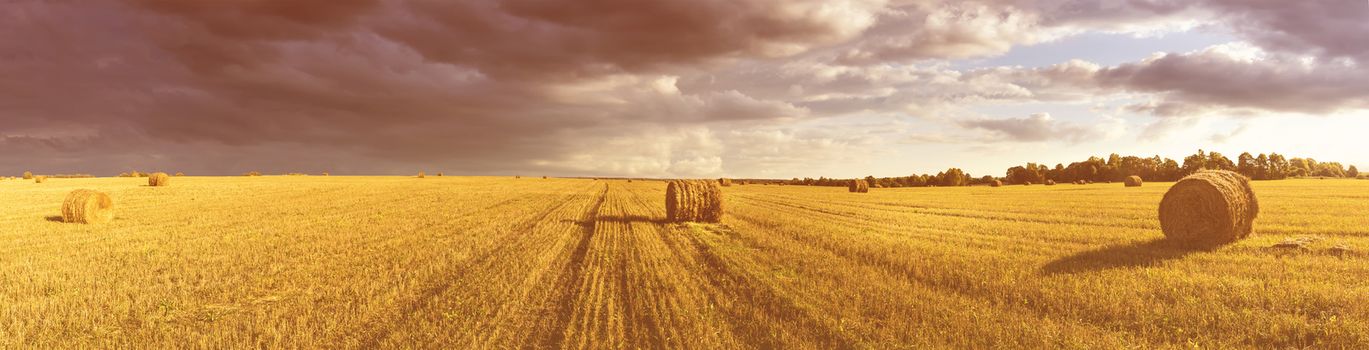 Scene with haystacks on the field in autumn sunny day. Rural landscape with cloudy sky background. Golden harvest of wheat in evening. Panorama.