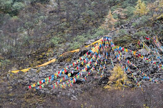 Tibetan prayer flags on a mountain slope at Huanglong, Unesco  World Heritage Site, Sichuan province of China