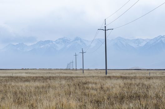 Electrical lines and pillars across the wild plain of upper Tibet with the huge snowy mountains behind