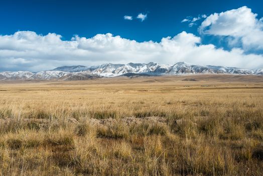 Tibetan highlands and distant snowy mountains near Daotanghe city at Qinghai province of China