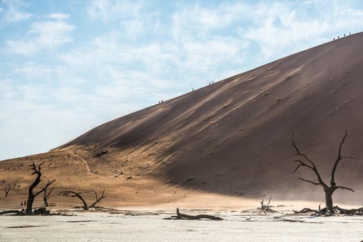 Dead dry trees of DeadVlei valley at Namib Desert and silhouettes of people on a huge sand dune edge