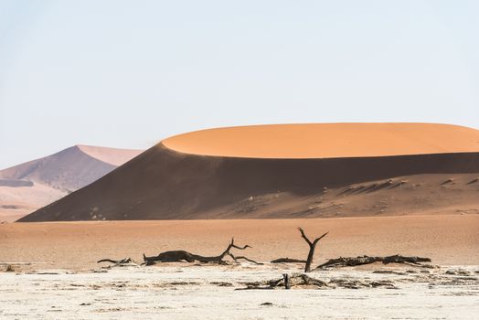 Dead dry trees of DeadVlei valley, surrounded by multicolored huge dunes of Namib Desert