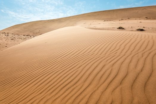 Endless sand waves on a flat sand dune at Namib Desert