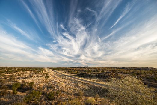 A modern asphalt road across Namibian endless plains with dry plants, small green trees and magical cloudy sky