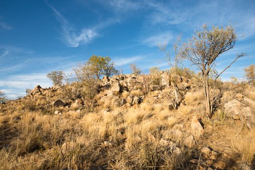 Rocky landscape of Kunene Region at Namibian winter during sunset