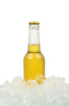 Close up one clear glass bottle of cold lager beer on ice cubes at retail display isolated on white background, low angle side view