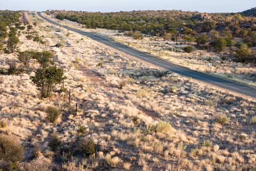 A modern asphalt road across Namibian endless plains with dry plants and small green trees