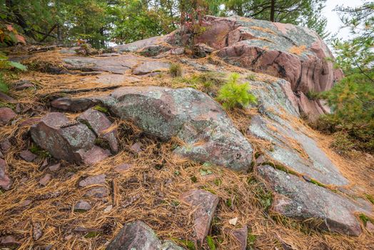 Close up view of geological structures and pink stones at Killarney Provincial Park, Canada