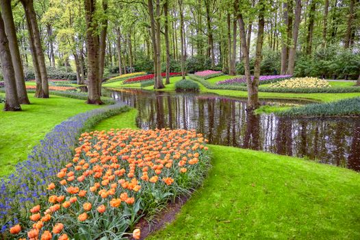 Rows of tulips and other flowers in a garden in the Netherlands.